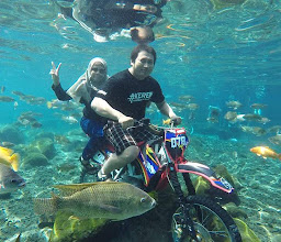 PLANKTON Tour and Travel photo