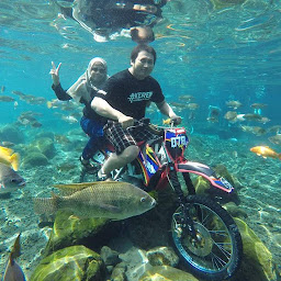 PLANKTON Tour and Travel