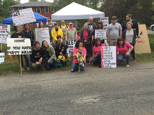 Pet Store «Fish Bowl Aquarium & Pet Mart», reviews and photos, 425 Pleasant St # 21, Fall River, MA 02721, USA