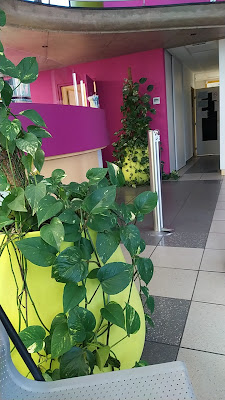 Orthodontie Beaumont à Beaumont