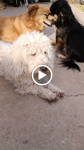 Pet Supply Store «PetSmart», reviews and photos, 1140 W Elliot Rd, Tempe, AZ 85284, USA