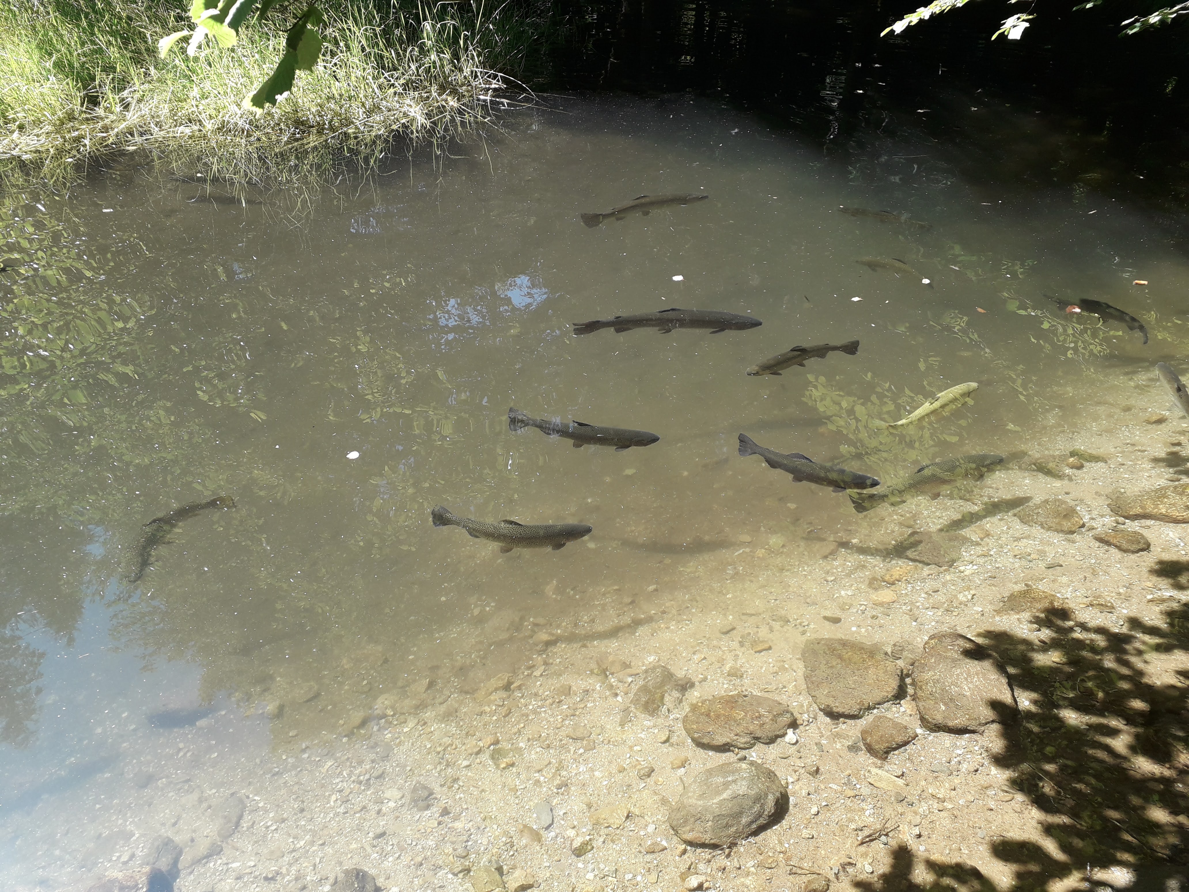 Photo n° 22 de l'avis de Franck.i fait le 19/07/2020 à 15:45