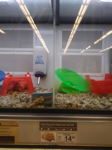 Pet Supply Store «Petco Animal Supplies», reviews and photos, 4663 Firestone Blvd, South Gate, CA 90280, USA