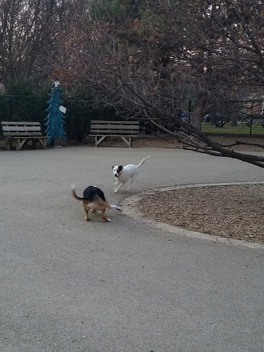 Dog Park «Norwood Park Dog Friendly Area», reviews and photos, 5850 N Avondale Ave, Chicago, IL 60631, USA