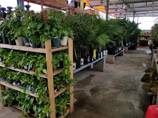 Home Improvement Store «The Home Depot», reviews and photos, 633 W Bandera Rd, Boerne, TX 78006, USA