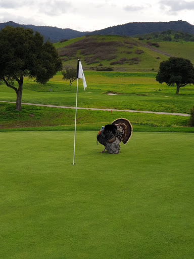Golf Club «San Juan Oaks Golf Club», reviews and photos, 3825 Union Road, Hollister, CA 95023, USA