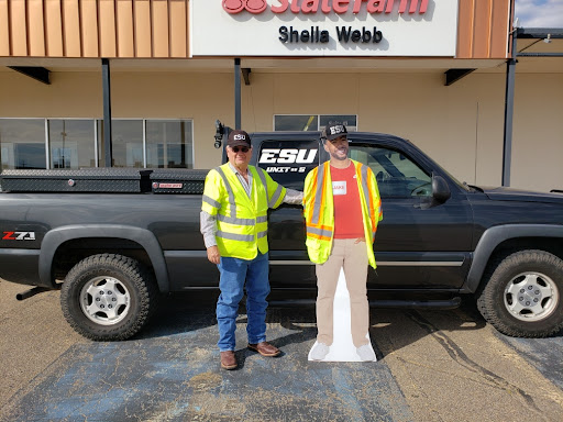 Insurance Agency «Sheila Webb - State Farm Insurance Agent», reviews and photos