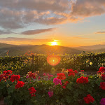 Photo n°4 de l'avis de Paul.m fait le 22/10/2022 à 22:29 sur le  Castello di Casole, A Belmond Hotel, Tuscany à Casole d'Elsa