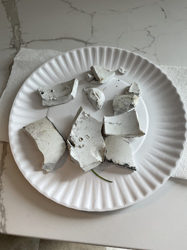 Plumber «Roto-Rooter Plumbing & Drain Services», reviews and photos, 1001 Dawson Dr, Newark, DE 19713, USA