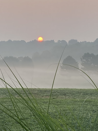 Golf Club «Fox Hollow Golf Club», reviews and photos, 280 Clubhouse Ln, Glasgow, KY 42141, USA