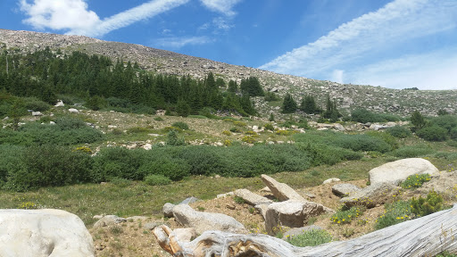 Nature Preserve «Mount Goliath Natural Area», reviews and photos, Mt Evans Rd, Evergreen, CO 80439, USA