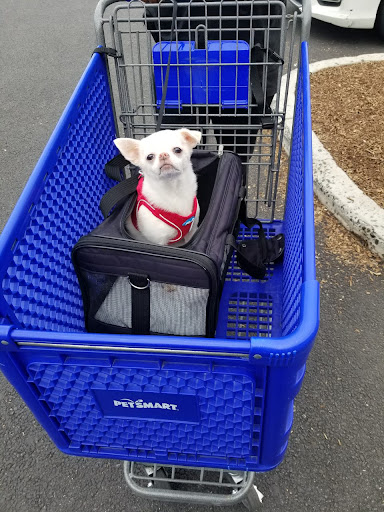 Pet Supply Store «PetSmart», reviews and photos, 830 Pelham Pkwy, Pelham, NY 10803, USA