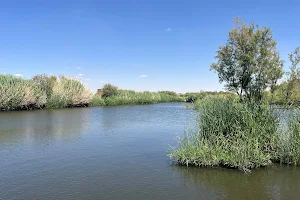 Azraq Wetlands Reserve image