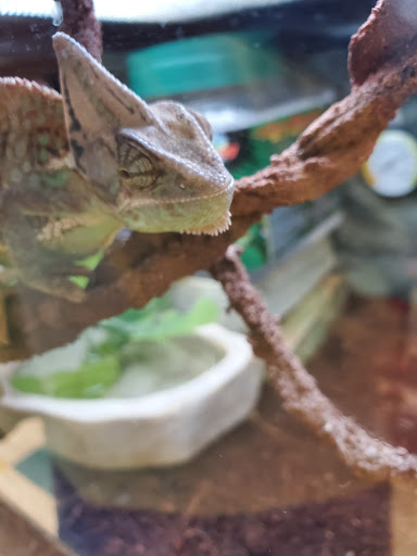 Pet Supply Store «Petco Animal Supplies», reviews and photos, 200 Center Blvd S, Christiana, DE 19702, USA