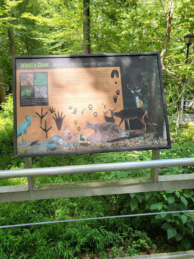 Park «Louise F Cosca Regional Park», reviews and photos, 11000 Thrift Rd, Clinton, MD 20735, USA