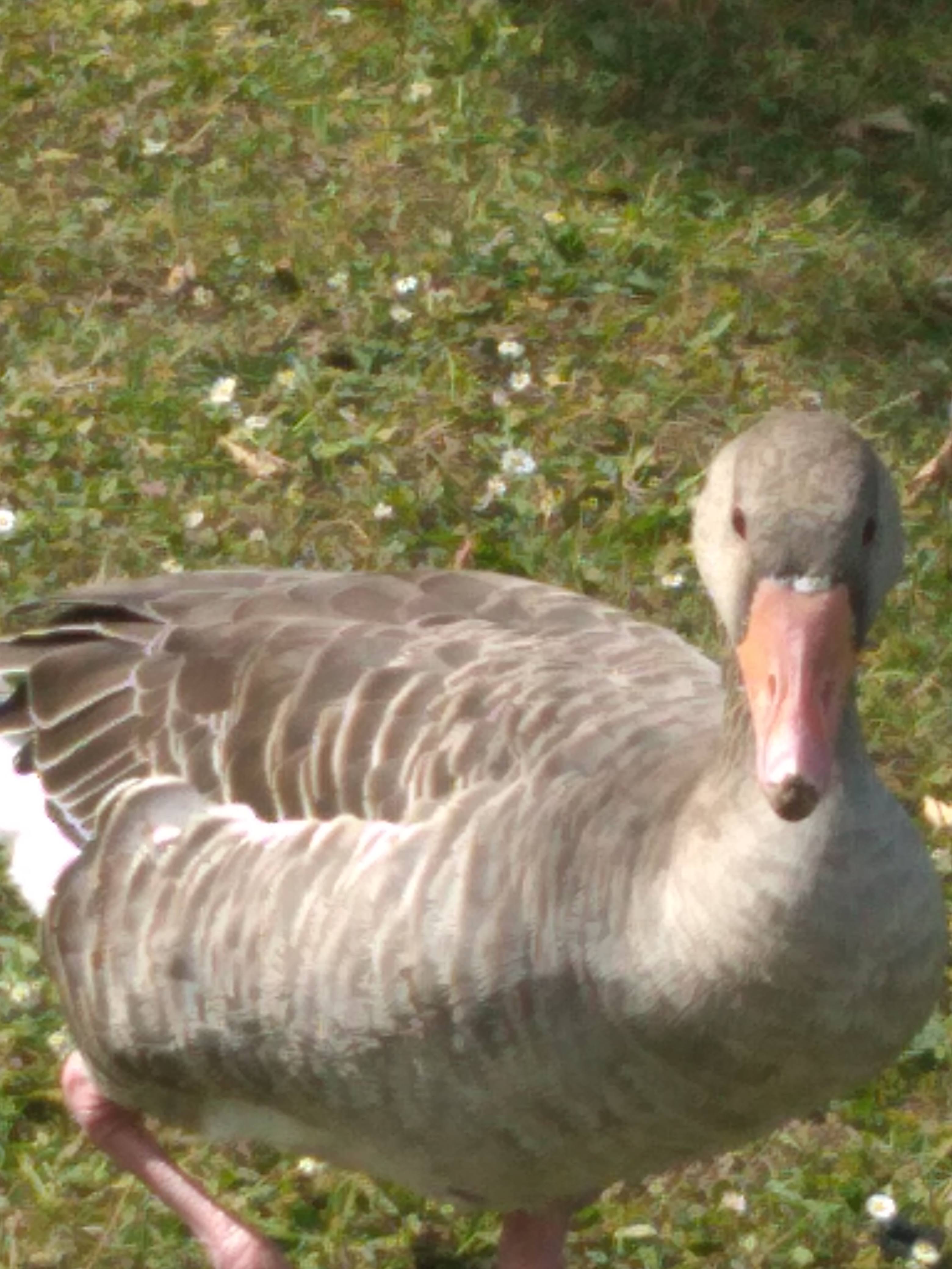 Photo n° 26 de l'avis de Gérard.u fait le 06/11/2020 à 21:03