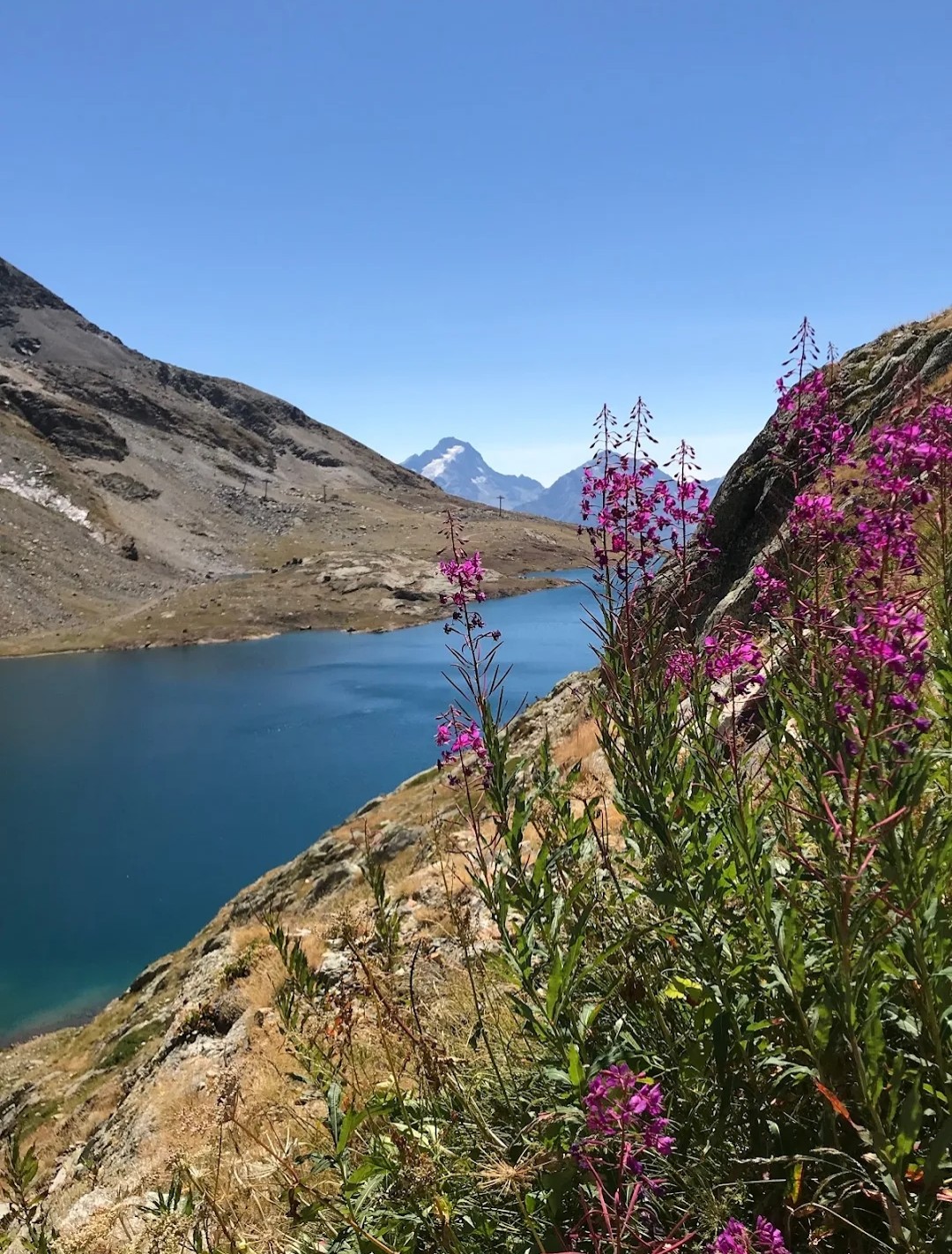 Photo n° 5 de l'avis de Jean.a fait le 15/07/2023 à 15:41