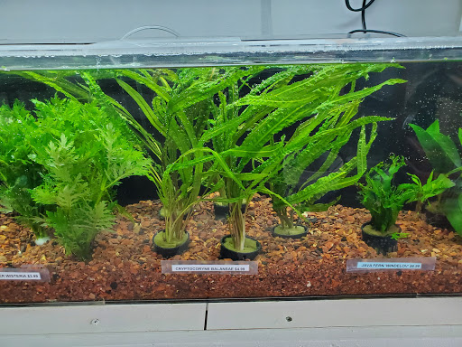 Pet Store «Pet Town», reviews and photos, 7804 Florence Ave, Downey, CA 90240, USA