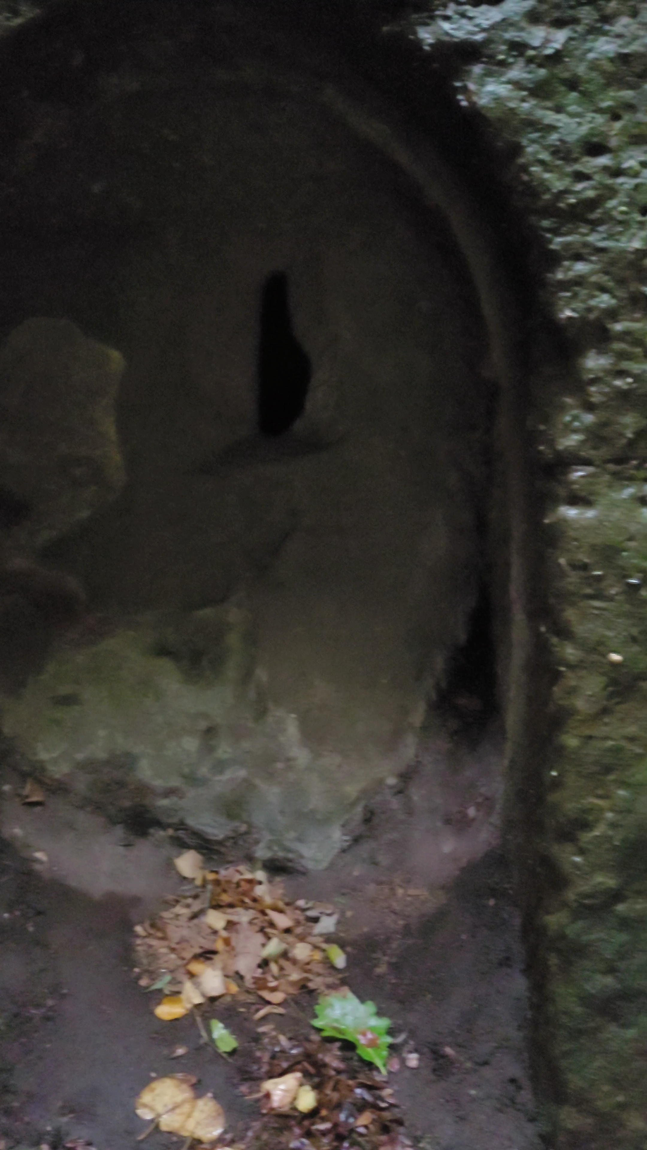 Photo n° 9 de l'avis de Verena.a fait le 31/10/2023 à 09:18