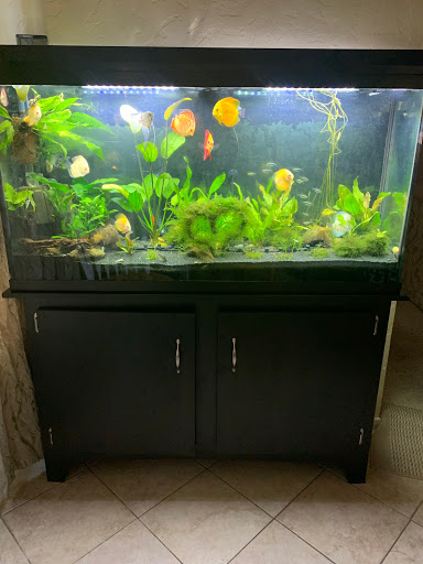 Pet Store «Pet World», reviews and photos, 891 Harriman Pl, San Bernardino, CA 92408, USA