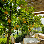 Photo n°1 de l'avis de Dana.e fait le 13/06/2023 à 14:43 sur le  Aumm Aumm Ristorante Pizzeria à Anacapri