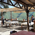 Photo n°2 de l'avis de M.A... fait le 15/05/2022 à 17:25 sur le  SCHICCIO à Santo Stefano in Aspromonte