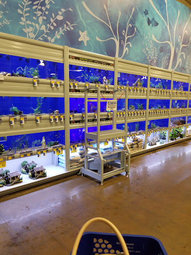 Aquarium shop Flint