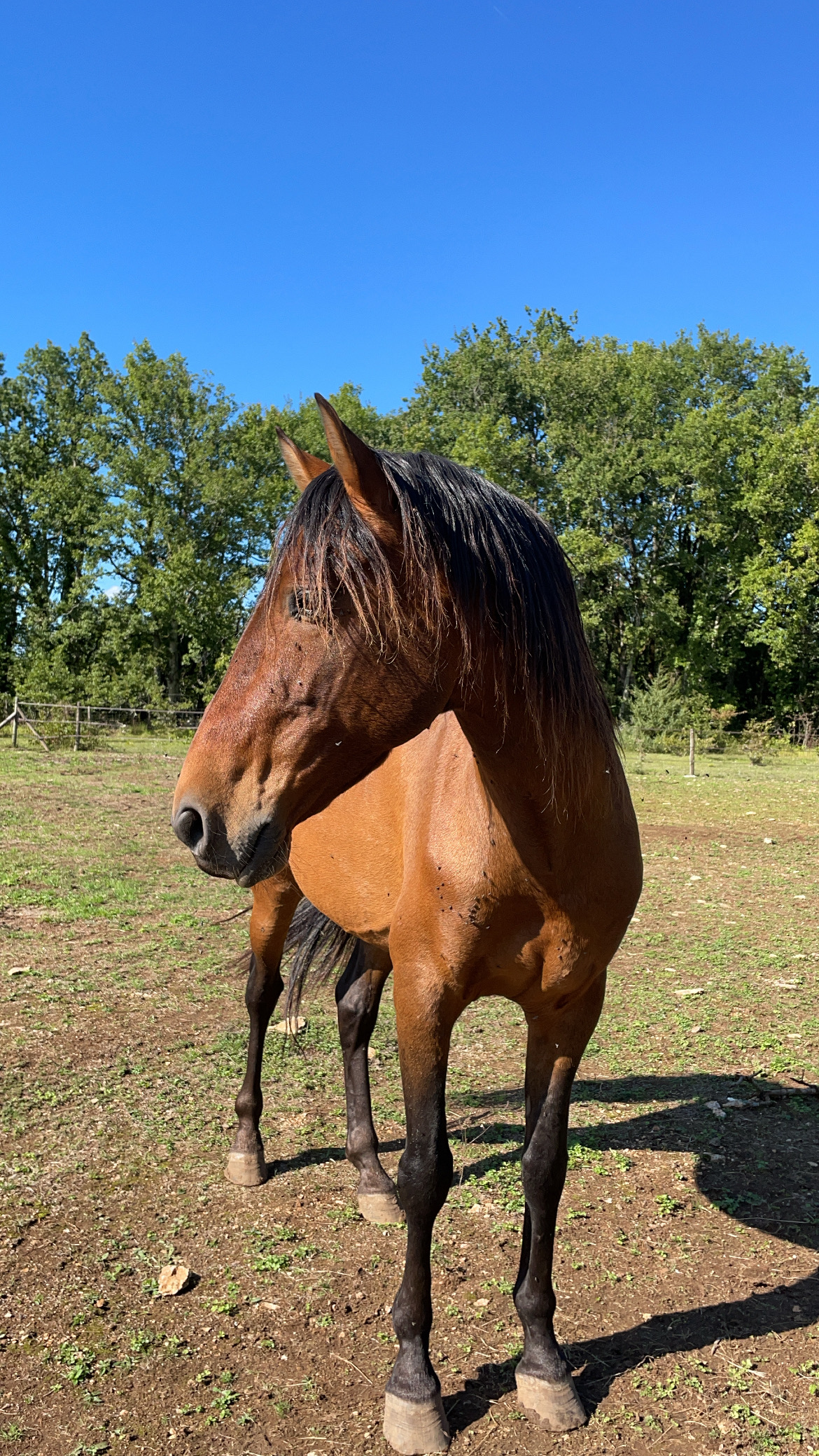 Photo n° 6 de l'avis de Celia.e fait le 23/08/2022 à 19:00