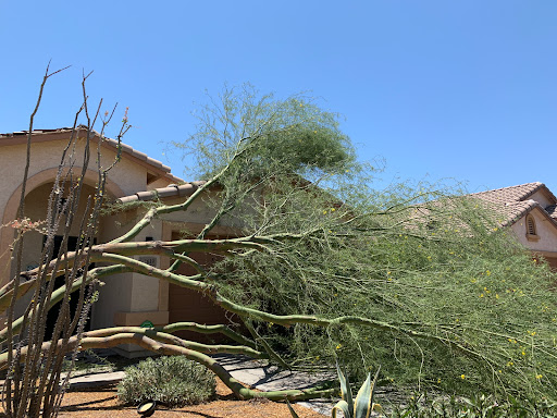 Roofing Contractor «D & M Roofing LLC», reviews and photos, 10463 E University Dr, Apache Junction, AZ 85120, USA