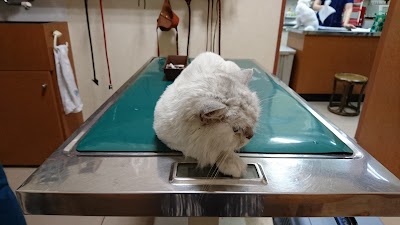 高橋動物病院