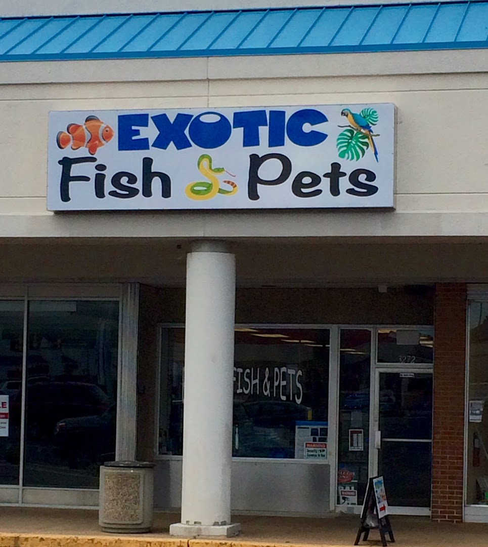 Exotic Fish & Pets