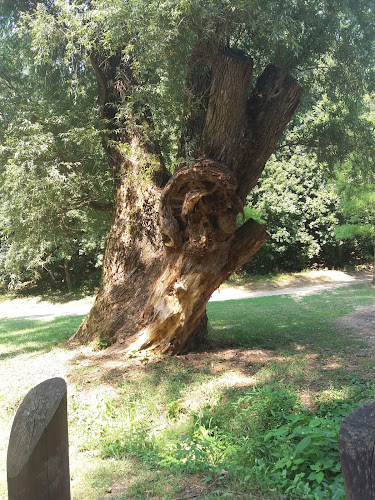 Comentarii opinii despre Sáferkút