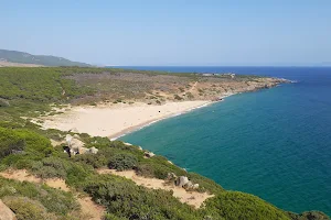 Playa del Cañuelo image