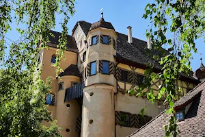 Schloss Grüningen image