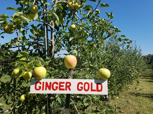 Orchard «Riamede Farm», reviews and photos, 122 Oakdale Rd, Chester, NJ 07930, USA