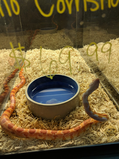Pet Store «Wildside Pets», reviews and photos, 1042 N Higley Rd #105, Mesa, AZ 85205, USA