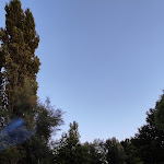 Photo n°7 de l'avis de Mose'.a fait le 10/07/2021 à 23:30 sur le  Ristorante Corte Bariani à Granze