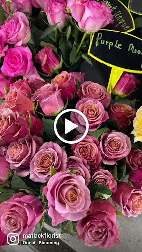 Florist «Matlack Florist», reviews and photos, 210 N Chester Rd, West Chester, PA 19380, USA