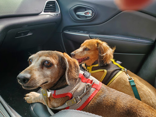 Fisher's Peak Vet Clinic image