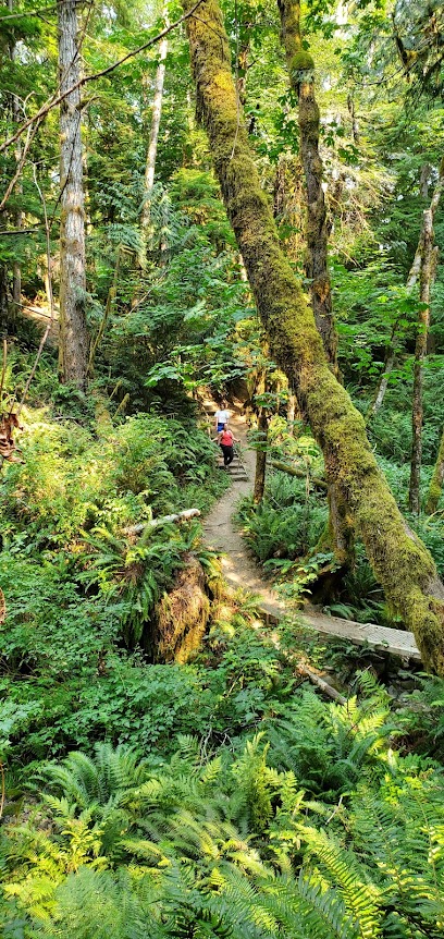 Rogers Creek Nature Trail