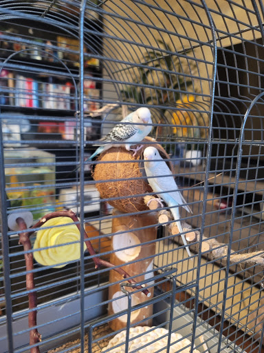 Pet Supply Store «PetSmart», reviews and photos, 607 Coleman Ave, San Jose, CA 95110, USA