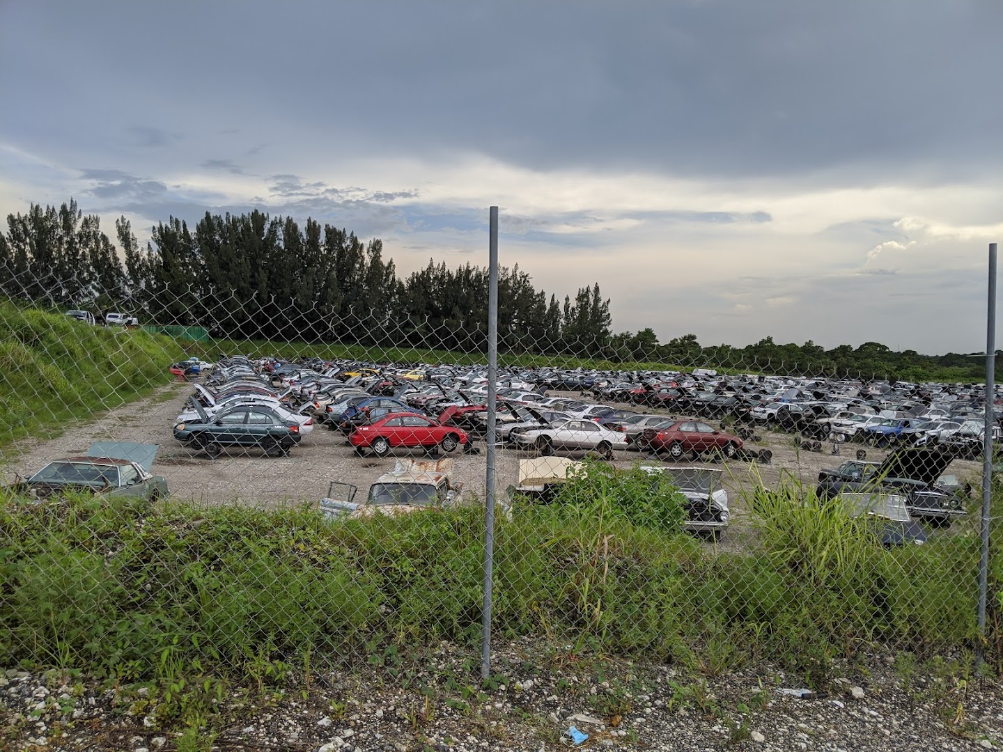 Junkyard In Fort Pierce FL 
