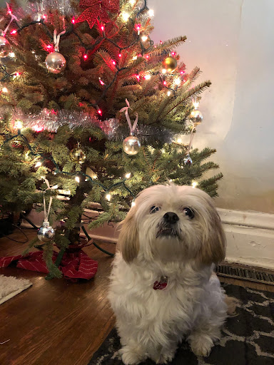 Pet Supply Store «PetPeople», reviews and photos, 2830 Fishinger Rd, Columbus, OH 43221, USA