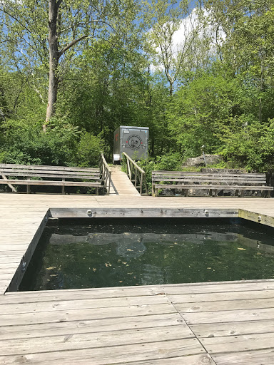 SCUBA Instructor «Sonny Side of Scuba», reviews and photos, 4601 Central Ave, Columbus, IN 47203, USA