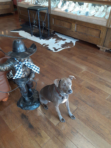 Jeweler «March Jewelers», reviews and photos, 1335 W Pipeline Rd, Hurst, TX 76053, USA