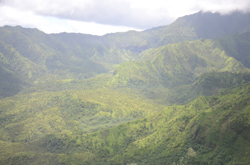 Gym «Planet Fitness», reviews and photos, 53 Marrows Rd, Newark, DE 19713, USA