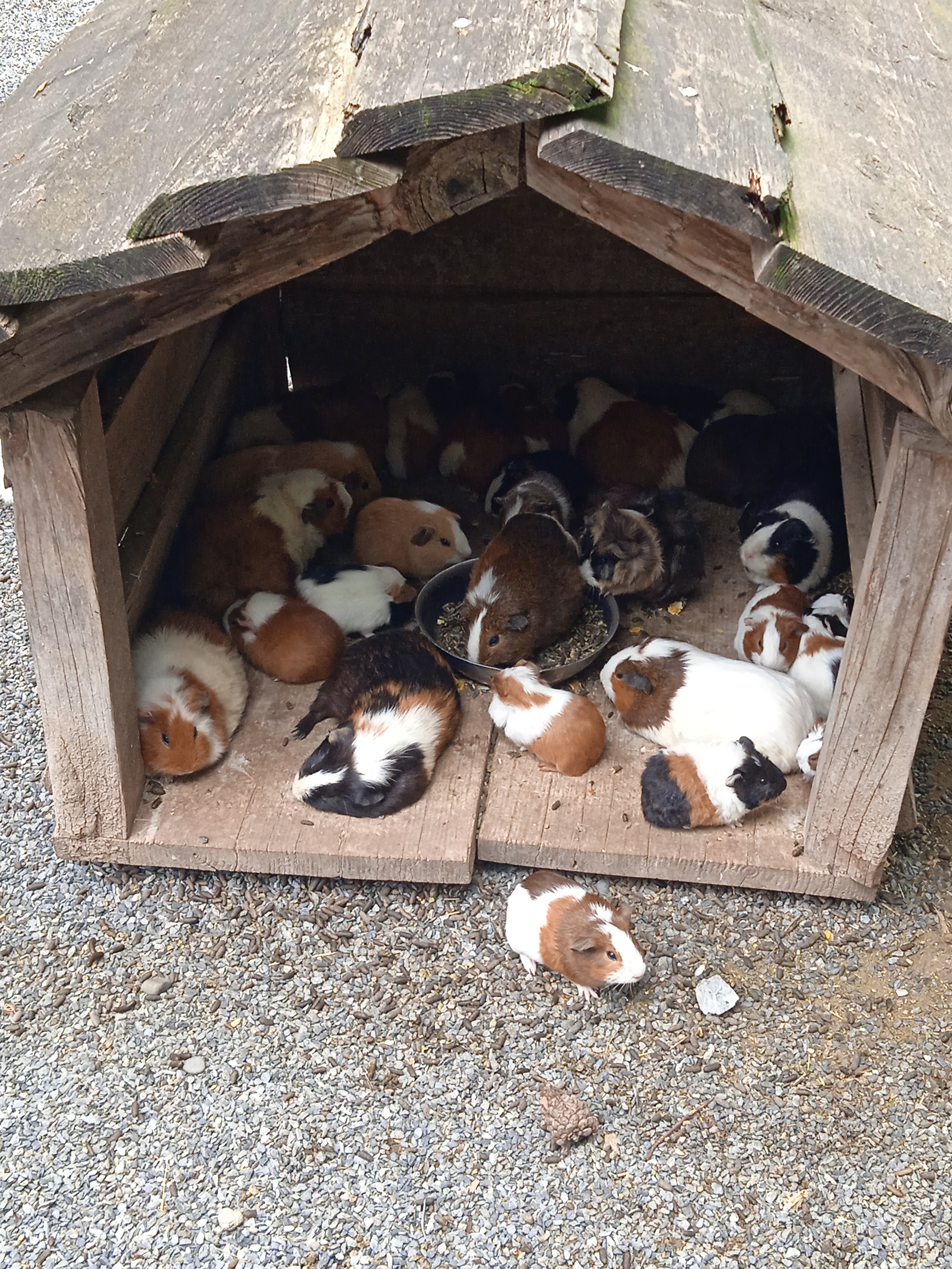 Photo n° 1 de l'avis de Gamer.p fait le 04/06/2022 à 18:21