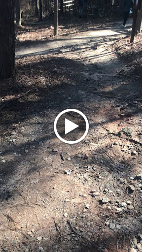 Nature Preserve «Autrey Mill Nature Preserve & Heritage Center», reviews and photos, 9770 Autrey Mill Rd, Johns Creek, GA 30022, USA