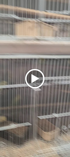 Pet Store «El Granero Pet Shop», reviews and photos, 15700 Atlantic Ave, Compton, CA 90221, USA