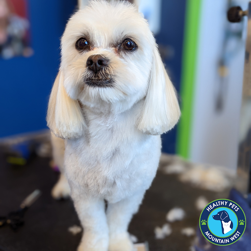 Pet Store «Healthy Pets Mountain West», reviews and photos, 2352 Fort Union Blvd, Cottonwood Heights, UT 84121, USA